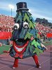 i_stanfordtree_195.jpg