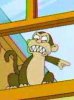 EMonkeyInC.jpg