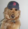 BarleyRedSox2.jpg