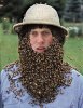 Beard of Bees.jpg