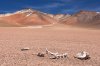 bones-skull-animal-salvador-dali-desert-mountains.jpg