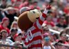 brutus-buckeye-in-crowd-848718a769f04f97.jpg