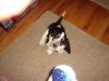 head turn-squeaky.jpg