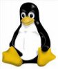 Linux-penguin.picture.jpg