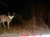 2006-Ashland-County-Buck.jpg