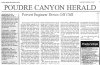newspaper-generator.jpg