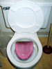 funny-womans-crapper.gif