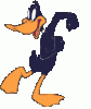 daffy-Duck-003.gif