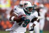 fullj.getty-75557900al021_miami_dolphin.jpg