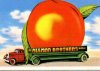 Allman_Brothers_Band_-_Eat_A_Peach-Front-www.FreeCovers-e1482861283304-495x356.jpg