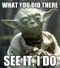 yoda-what-you-did.jpg