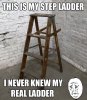 step-ladder-meme.jpg