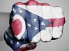 OhioFlagFist-300x224_zpsabdewdmb.jpg