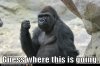 gorilla-takes-a-swing.jpg