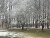 Snow in GA.jpg