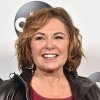 roseanneBarr750.jpg