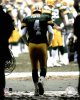 AAGU100~Brett-Favre-Last-Game-of-2005-Season-Posters.jpg