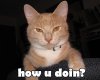 How-YOU-doin.jpg