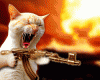 machine-gun-cat.gif