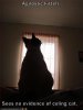 catfunny-pictures-agnostic-cat-shadows-window-450x600.jpg