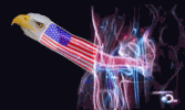 1737424143158.gif
