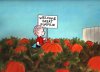 it_s_the_great_pumpkin_charlie_brown_image.jpg