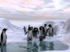 antarctic-dawn.jpg