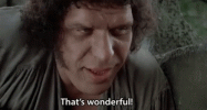 1746093189279.gif