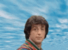joke-over-head-168-x-126-gif-s8nvchpxxp0fpx8f.gif