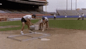 1000100879.gif
