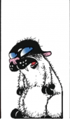 FB_IMG_1748317046929_1748317079486.png