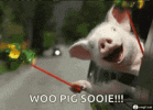 1749958711088.gif