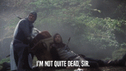 1750392363404.gif