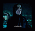 1752617052455.gif