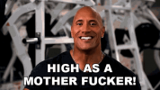 1753457934429.png