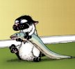bucky1.jpg