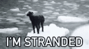 1755742666134.gif