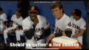 major-league-live-chicken.gif