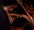 1756579166122.gif