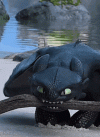 1757786315628.gif