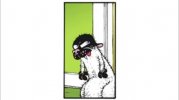 images (3).jpeg