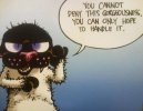 images (9).jpeg