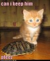 IMG_2154.jpeg