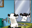 fuz-get-fuzzy-secret-lair-announced-v0-ddklnrx99qsd1_17608188979_1760824618196.png