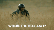 giphy (1).gif