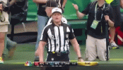 ed-hochuli-ref.gif ed-hochuli-ref.gif