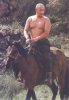 Putinshirtless.jpg