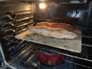 IMG_2425.jpeg