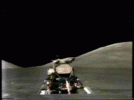 1000020375.gif