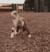 1779414168524.gif